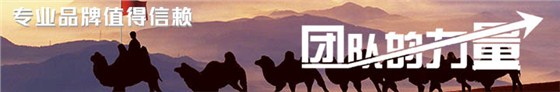 团队力量