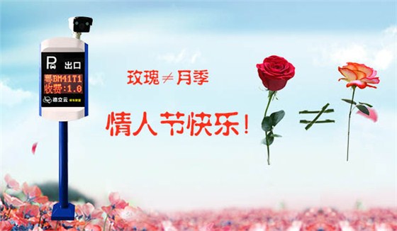安贝驰车牌识别系统