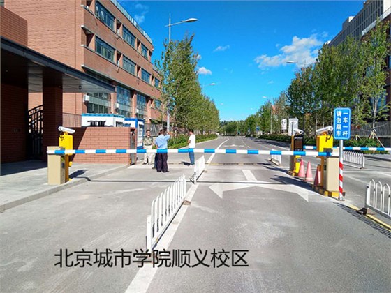 城市