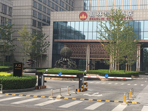 图片11