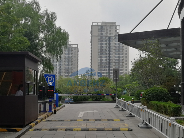 车牌3