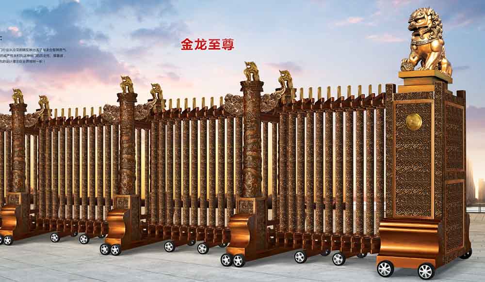 金龙至尊 (2)